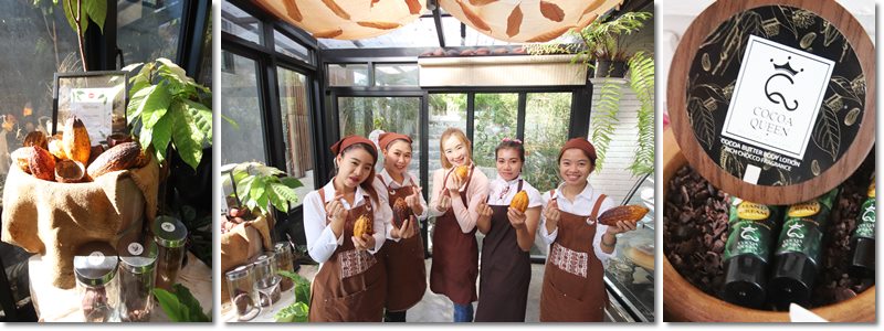 ที่พัก ปัว น่าน ที่พักสวย น่ารัก มีกิจกรรม ร้านขนมเครื่องดื่ม เมนูช็อกโกแล็ต โกโก้ที่นี่ปลูกเอง