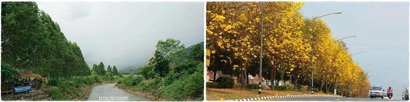 ที่พัก ปัว น่าน ที่พักสวย น่ารัก มีกิจกรรม ร้านขนมเครื่องดื่ม เมนูช็อกโกแล็ต โกโก้ที่นี่ปลูกเอง